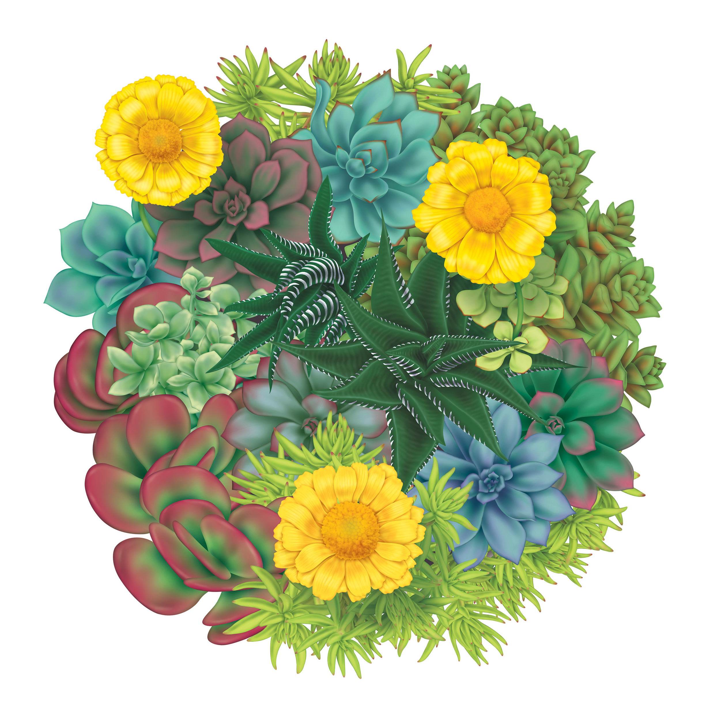 a circular arrangement of different succulents and flowers